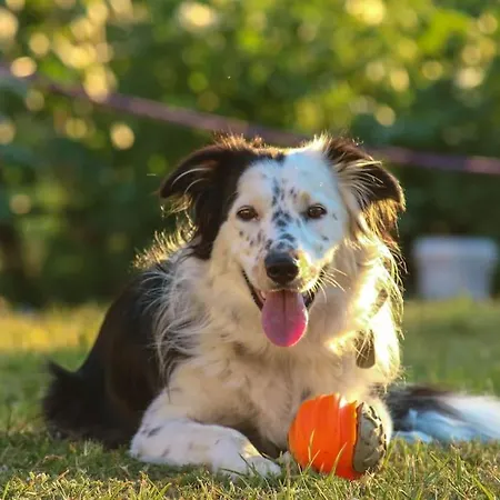 Casa * Кампотосто