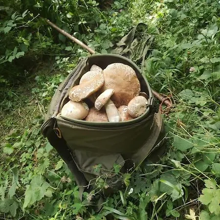 Casa * קמפוטוסטו