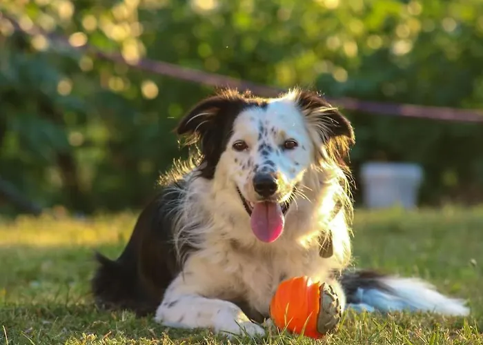 Casa * カンポトスト