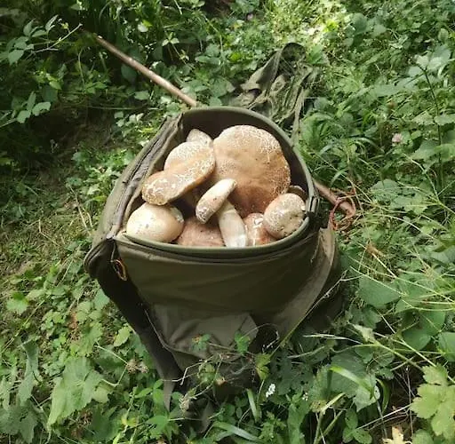 Casa * カンポトスト